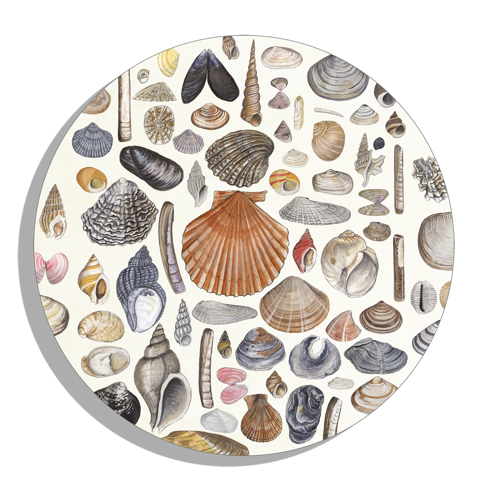 Muurcirkel "Shells"