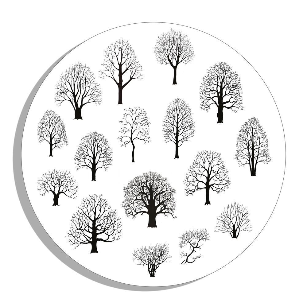 Muurcirkel "Silhouetten van bomen"