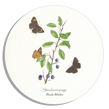 Muurcirkel "Sleedoornpage"