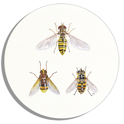 Tuinposter Cirkel "Zweefvliegen"