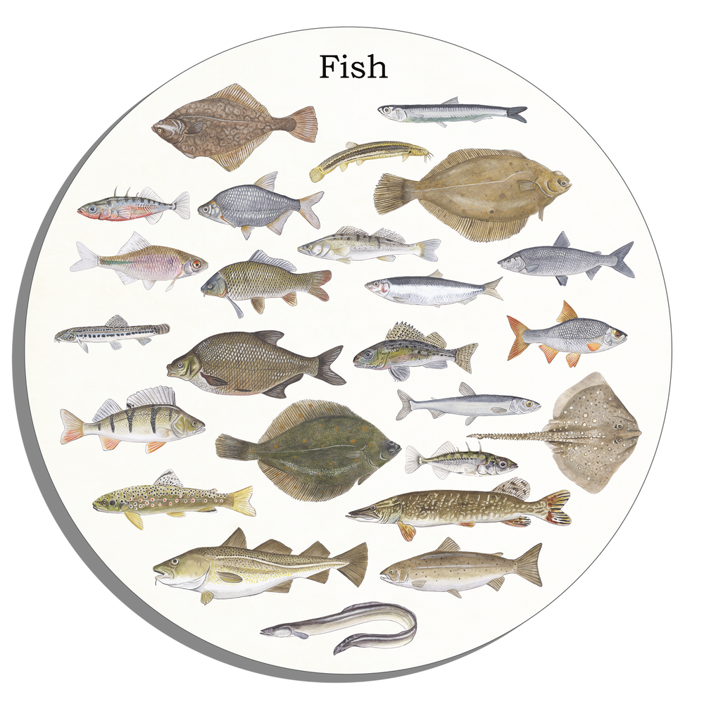 Tuinposter Cirkel "Fish"