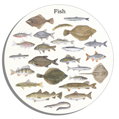 Tuinposter Cirkel "Fish"