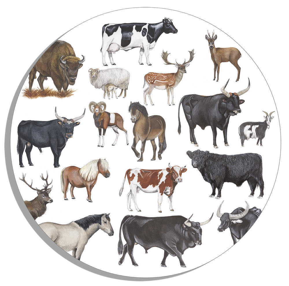 Muurcirkel "Grote grazers"