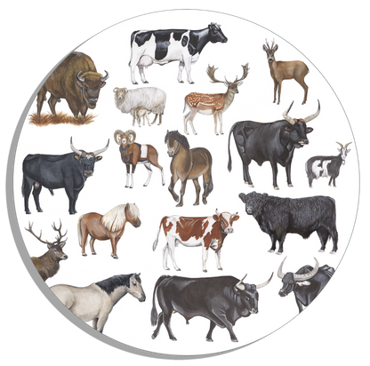 Muurcirkel "Grote grazers"