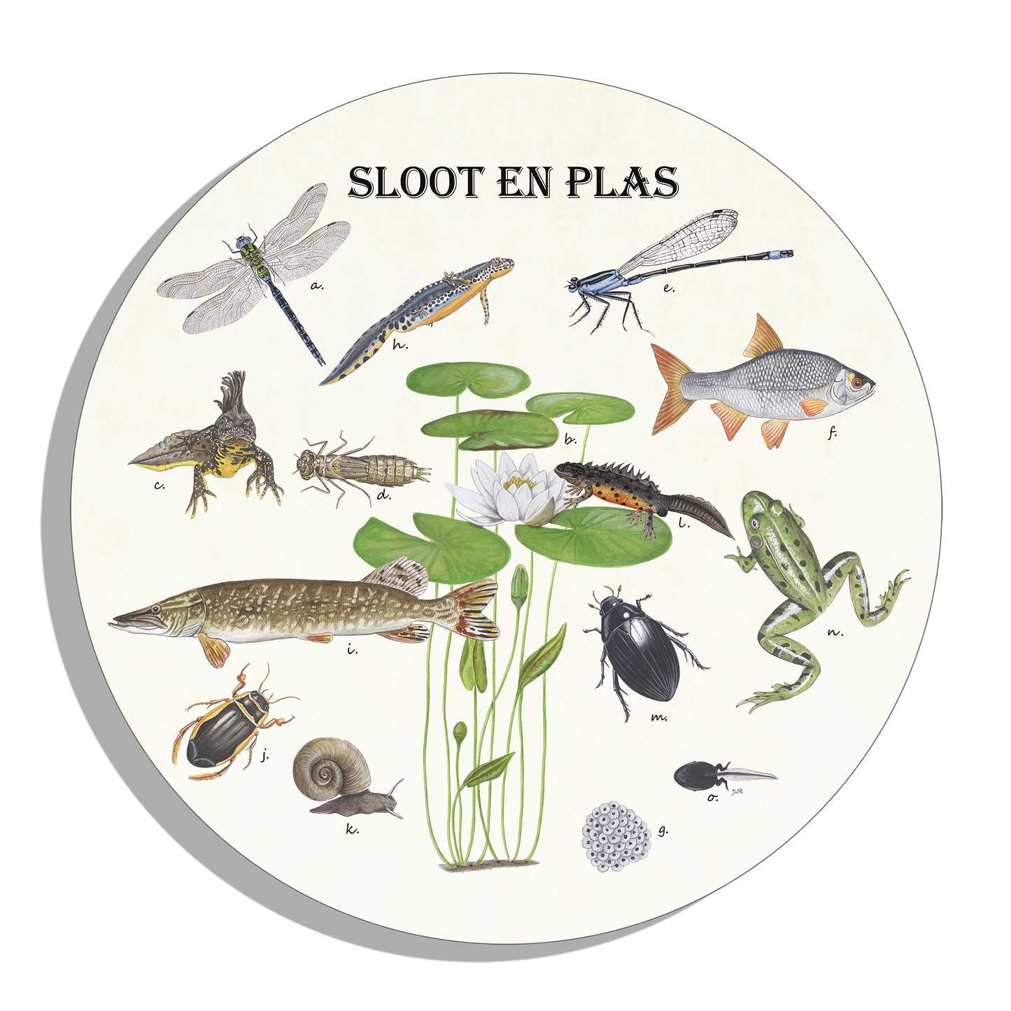 Muurcirkel "Sloot en plas"