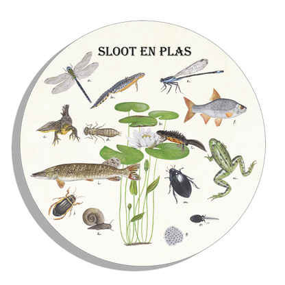 Muurcirkel "Sloot en plas"