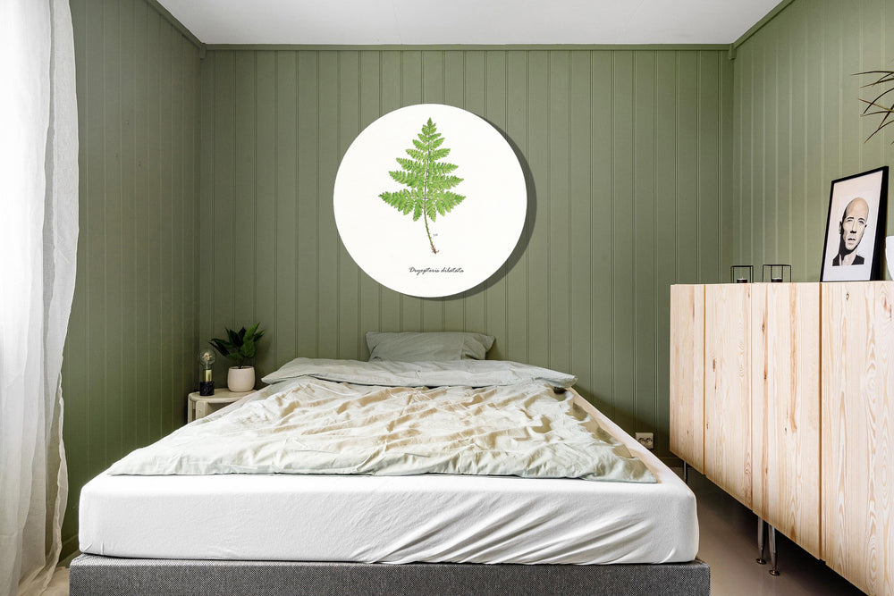 Muurcirkel "Brede stekelvaren"