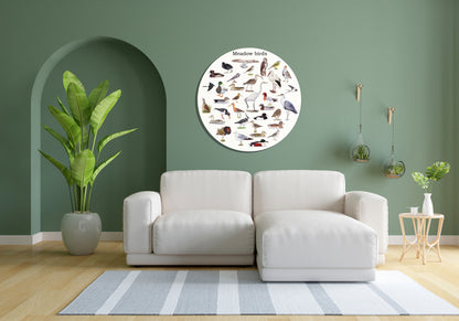 Muurcirkel "Meadow birds"