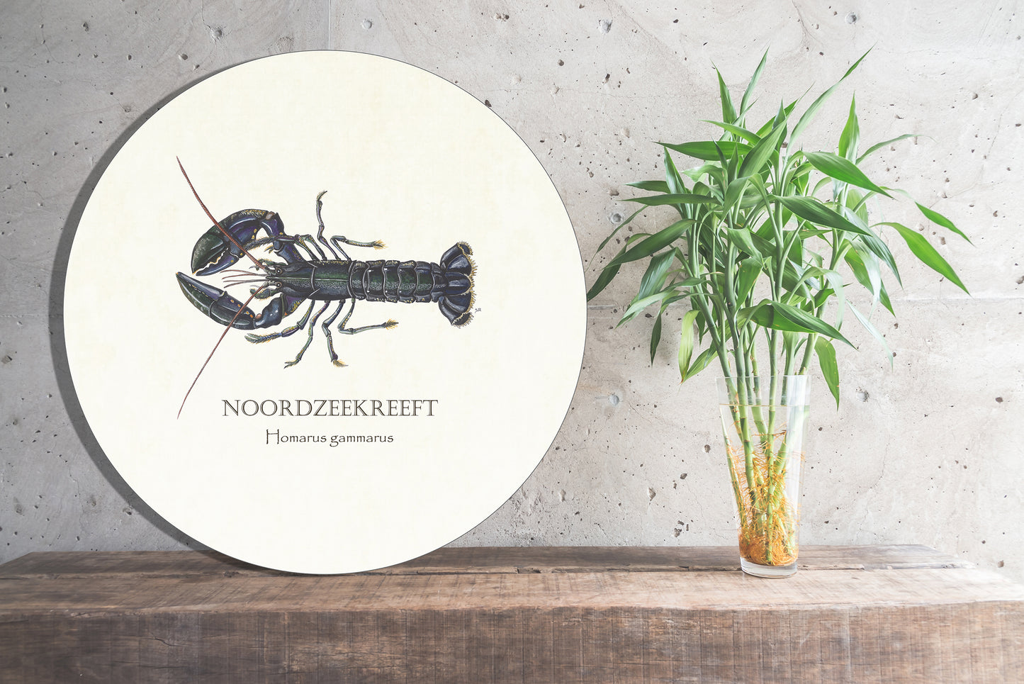 Muurcirkel "Noordzeekreeft"