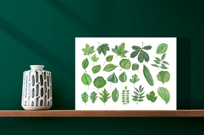 Wanddecoratie "Collectie van bladeren"