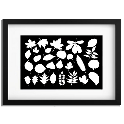 Ingelijst "Collage van bladeren witzwart"