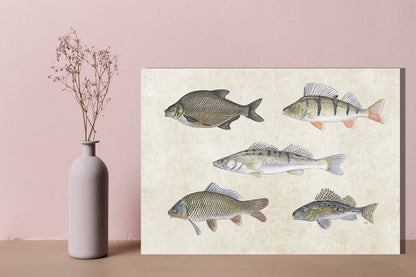 Wanddecoratie "Collage van zoetwatervissen"