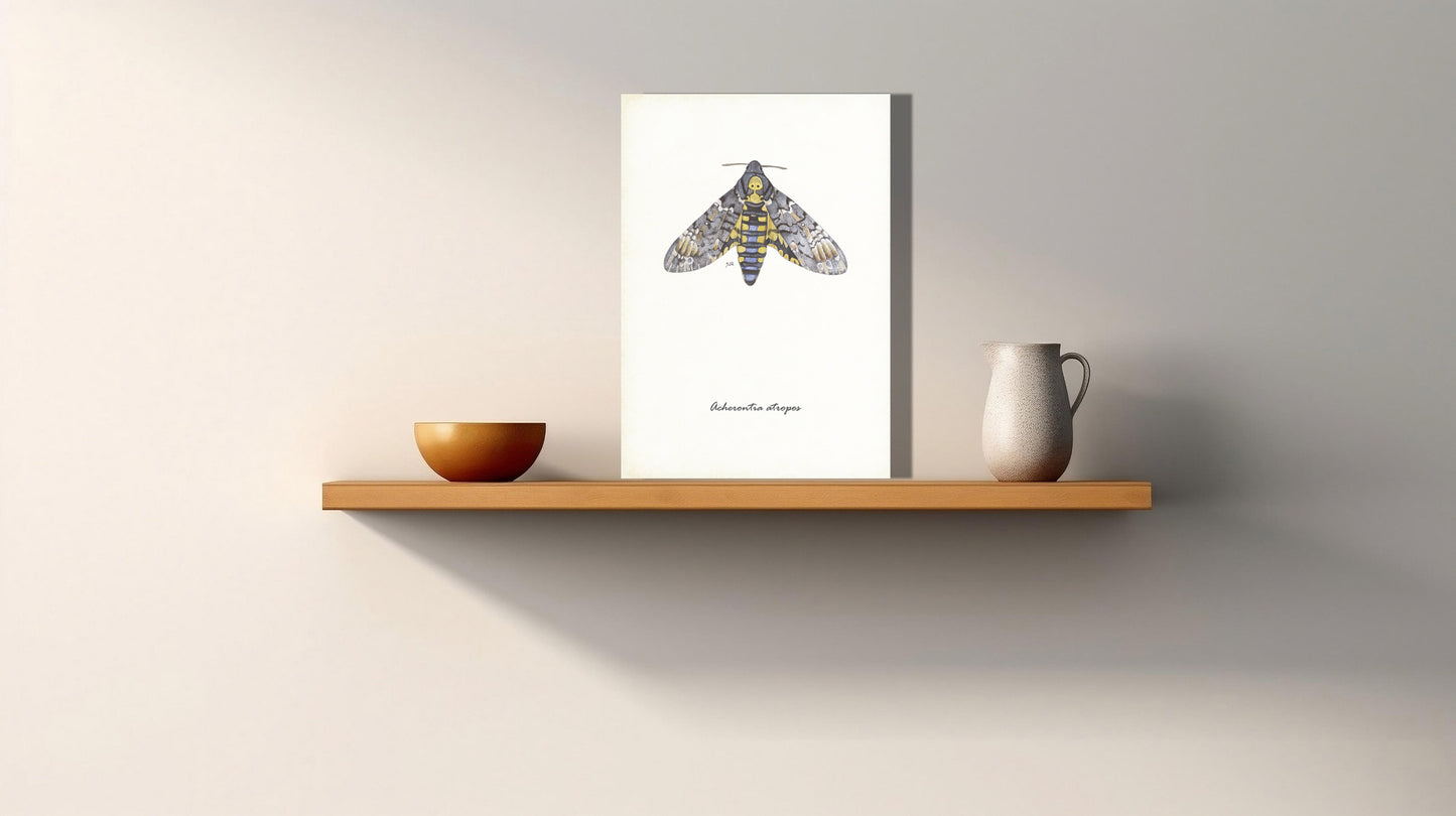 Wanddecoratie "Doodshoofdvlinder"