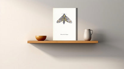 Wanddecoratie "Doodshoofdvlinder"