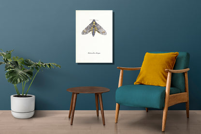 Wanddecoratie "Doodshoofdvlinder"