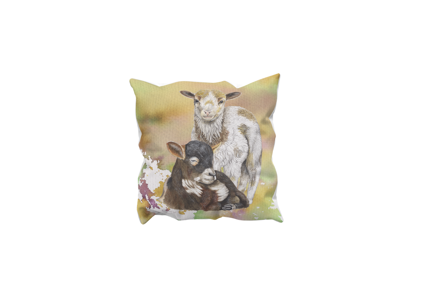 Kussen "Drents heideschaap, lammetjes"