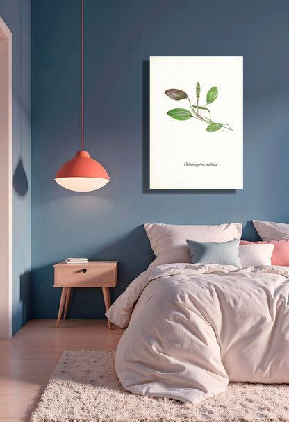Wanddecoratie "Drijvend fontijnkruid"