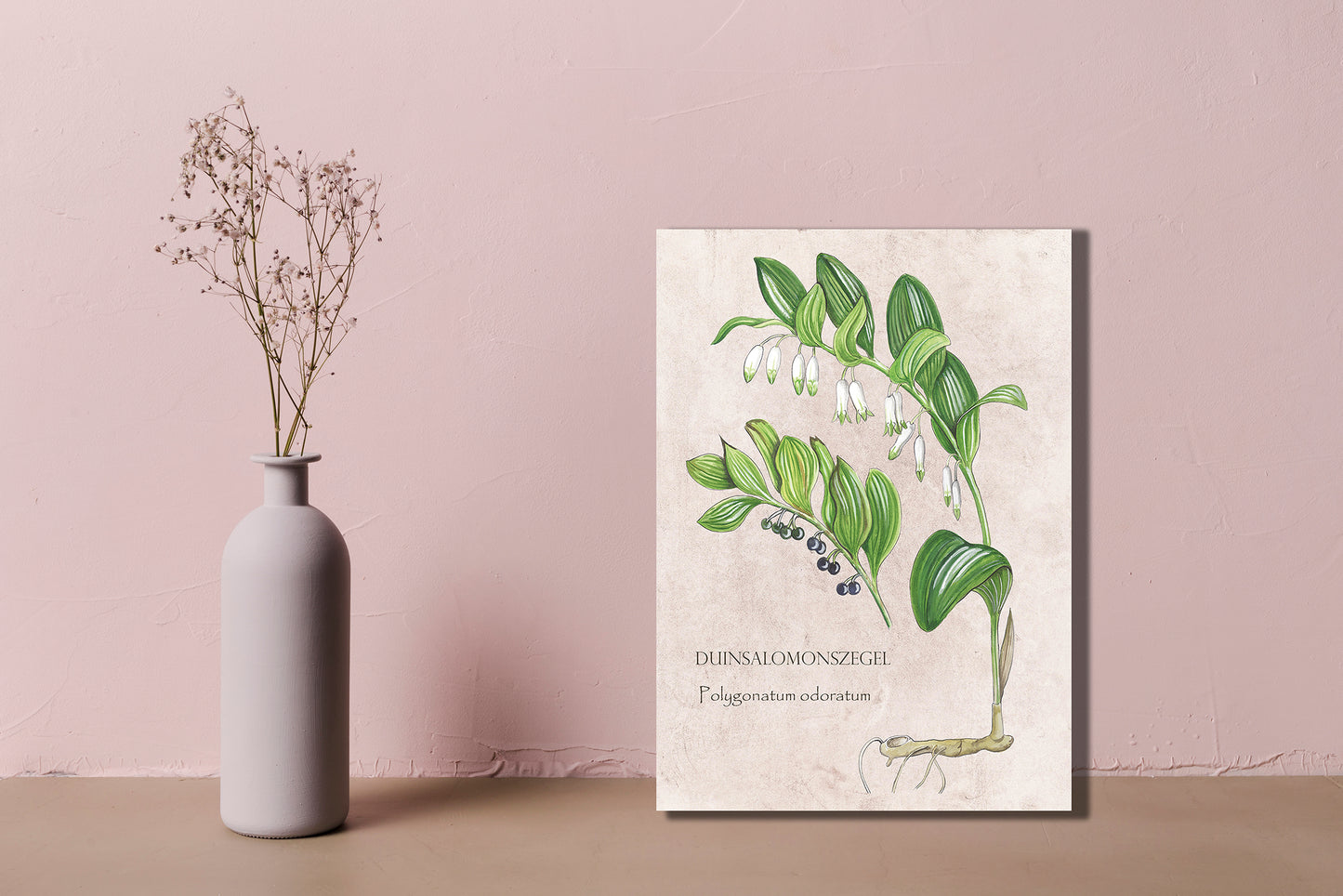 Wanddecoratie "Duinsalomonszegel"