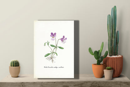 Wanddecoratie "Duinviool"