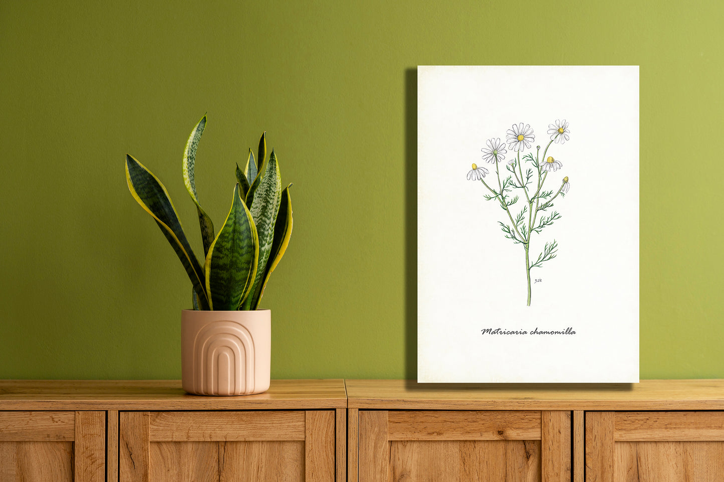 Wanddecoratie "Echte kamille"