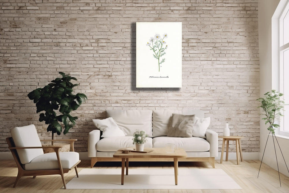 Wanddecoratie "Echte kamille"