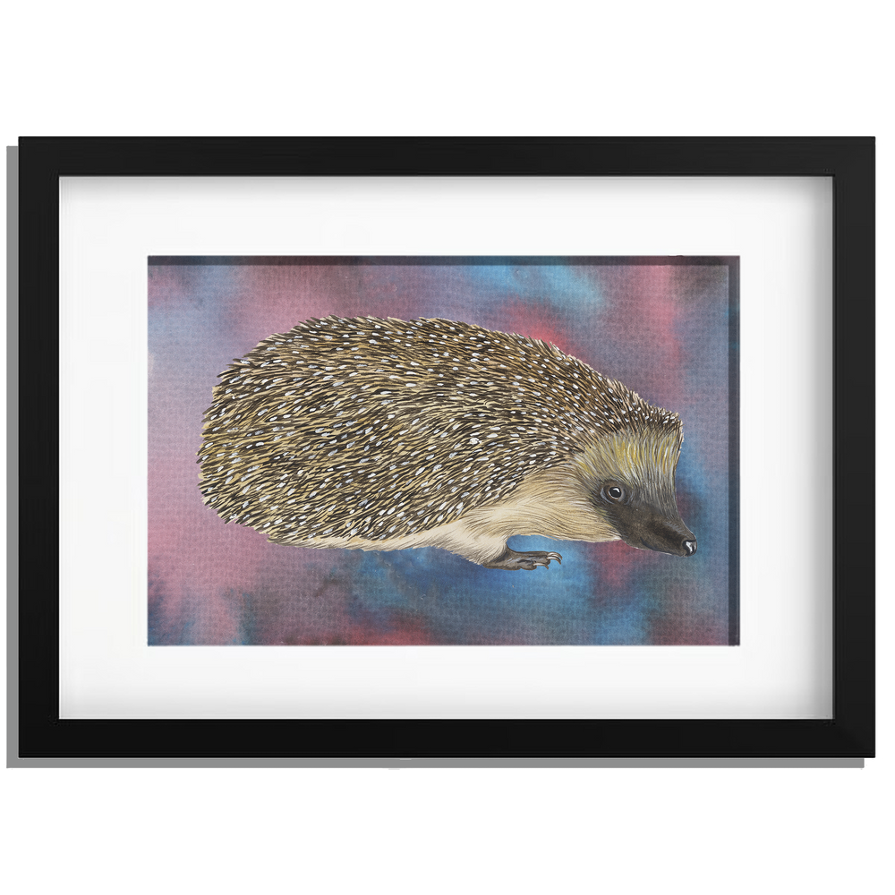 Ingelijst "Egel"