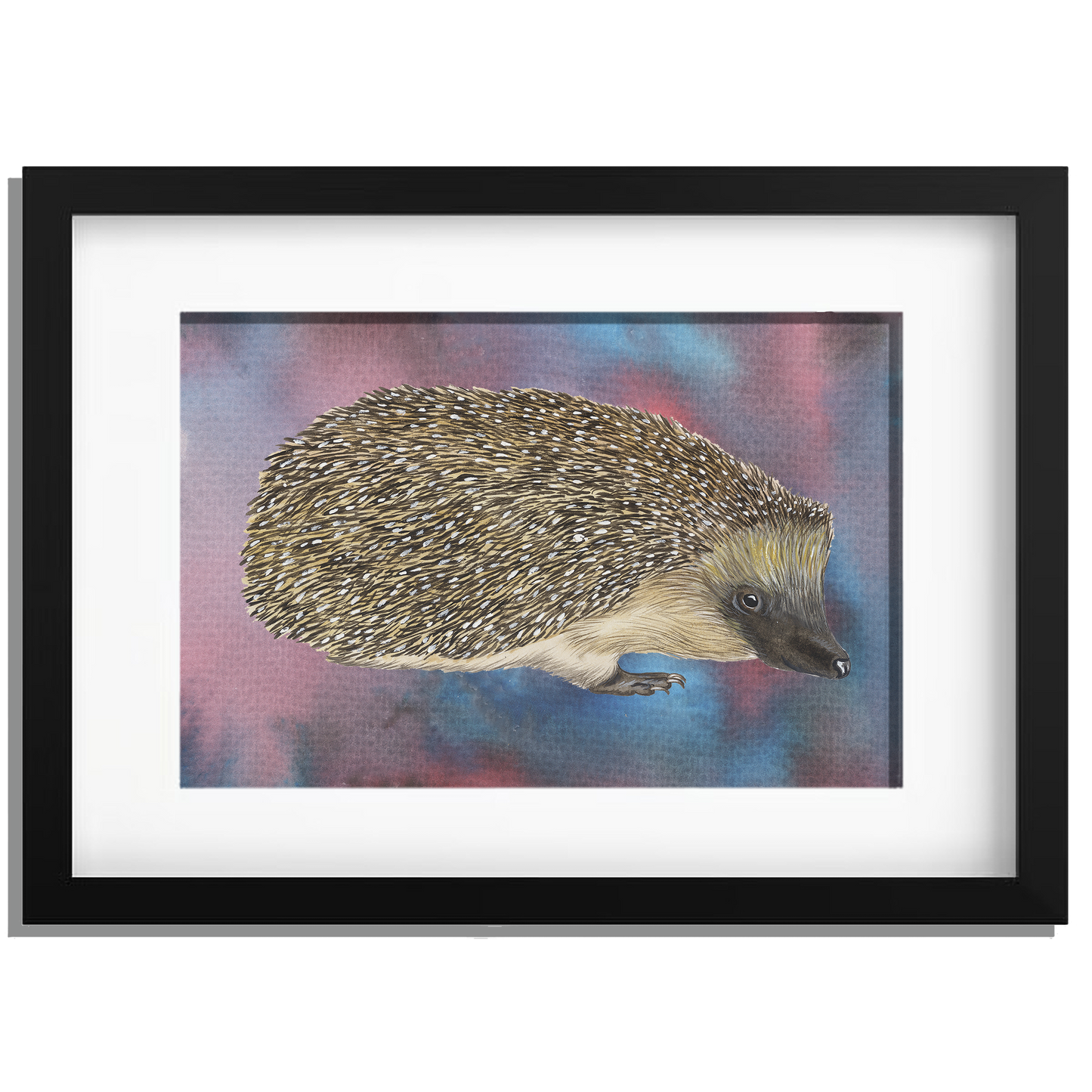 Ingelijst "Egel"