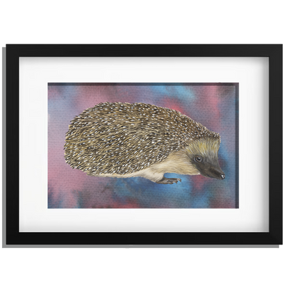 Ingelijst "Egel"