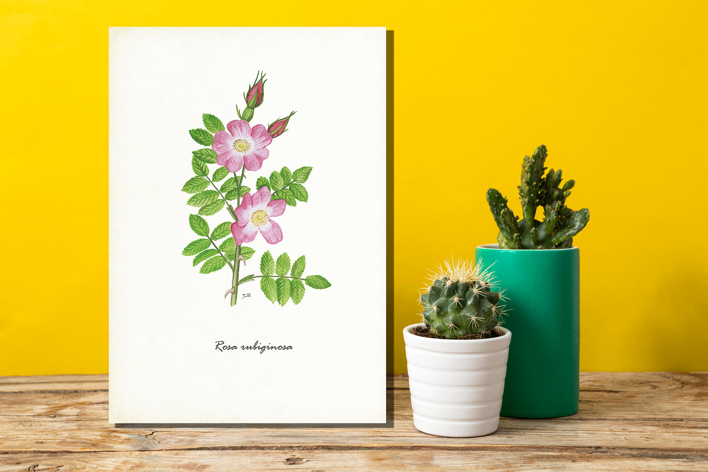 Wanddecoratie "Egelantier"