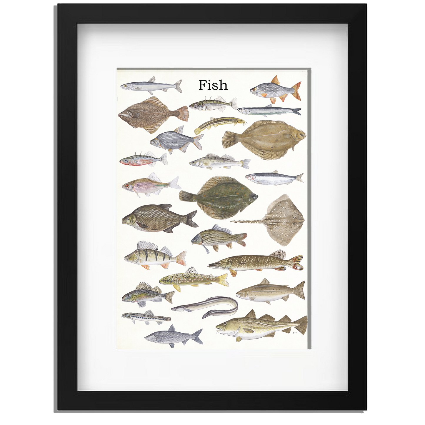 Ingelijst "Fish"