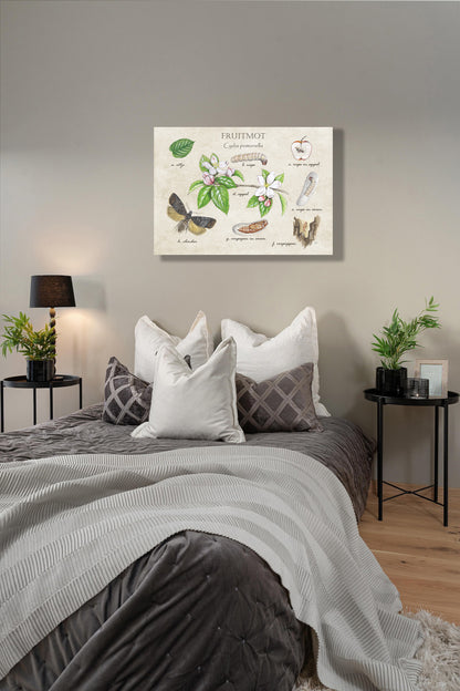 Wanddecoratie "Fruitmot, het leven van"