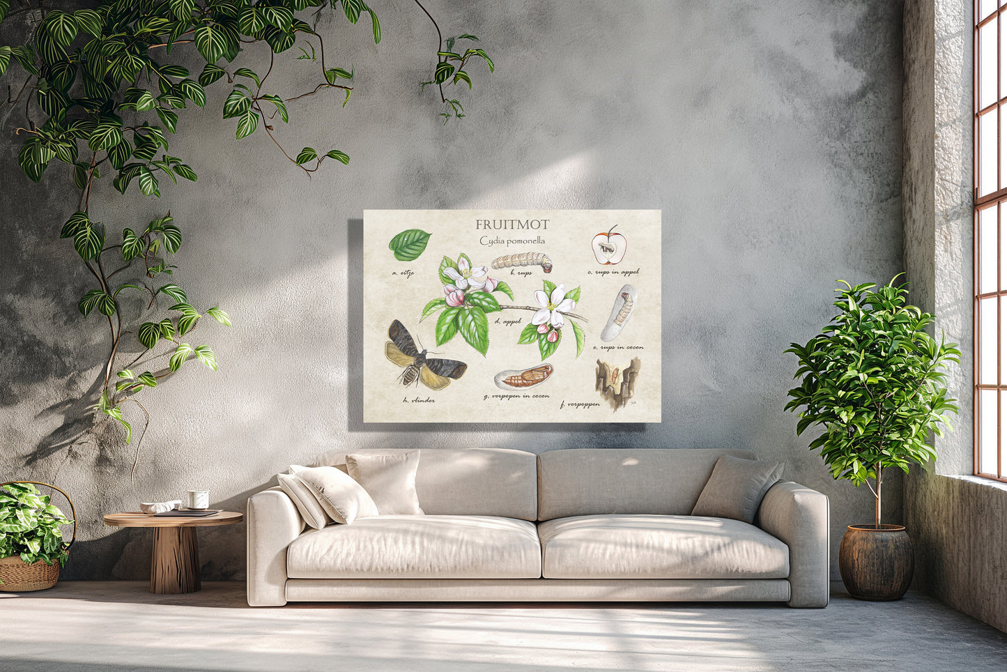 Wanddecoratie "Fruitmot, het leven van"