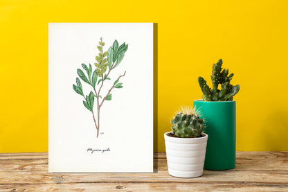 Wanddecoratie "Gagel"