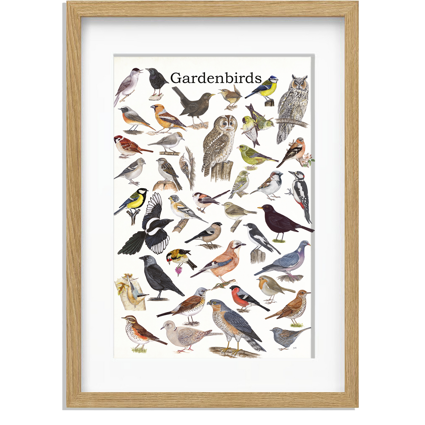 Ingelijst "Gardenbirds"