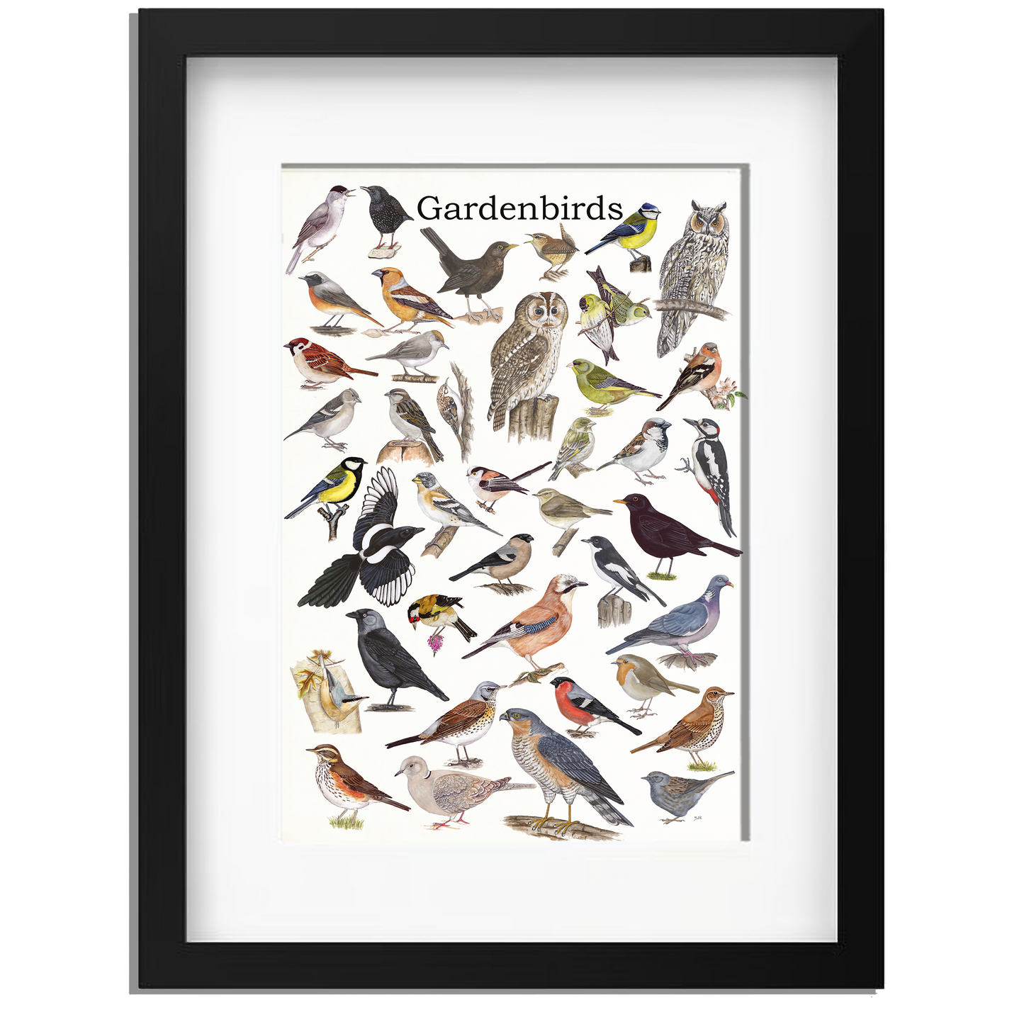 Ingelijst "Gardenbirds"