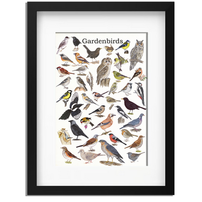 Ingelijst "Gardenbirds"