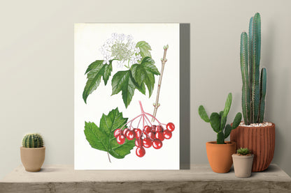 Wanddecoratie "Gelderse roos, het leven van"