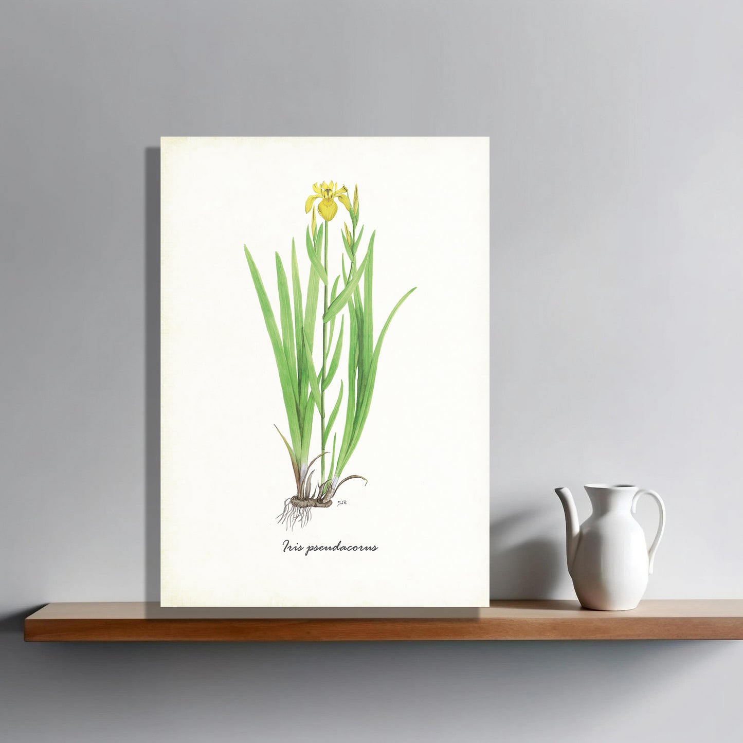 Wanddecoratie "Gele lis"