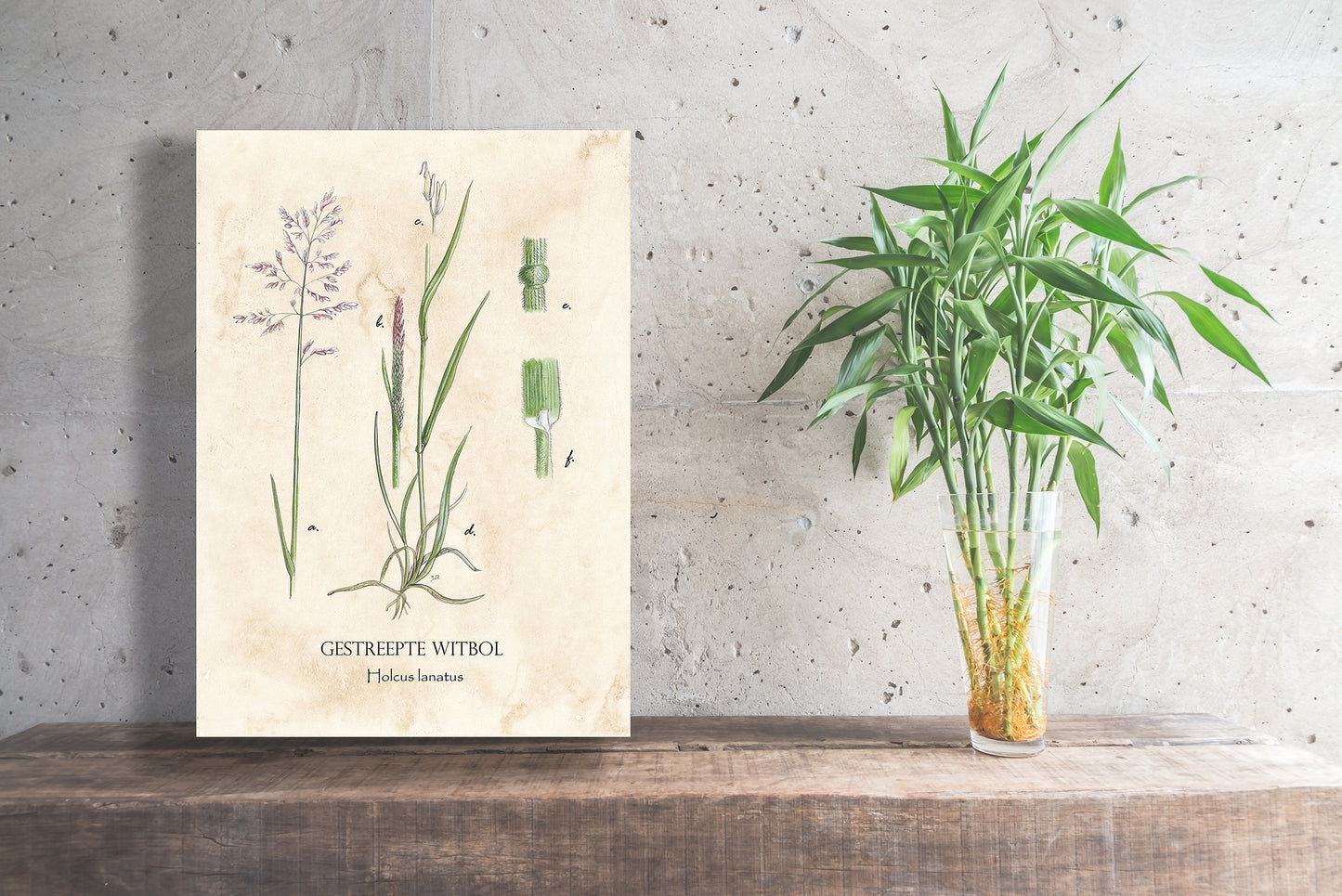 Wanddecoratie "Gestreepte witbol"