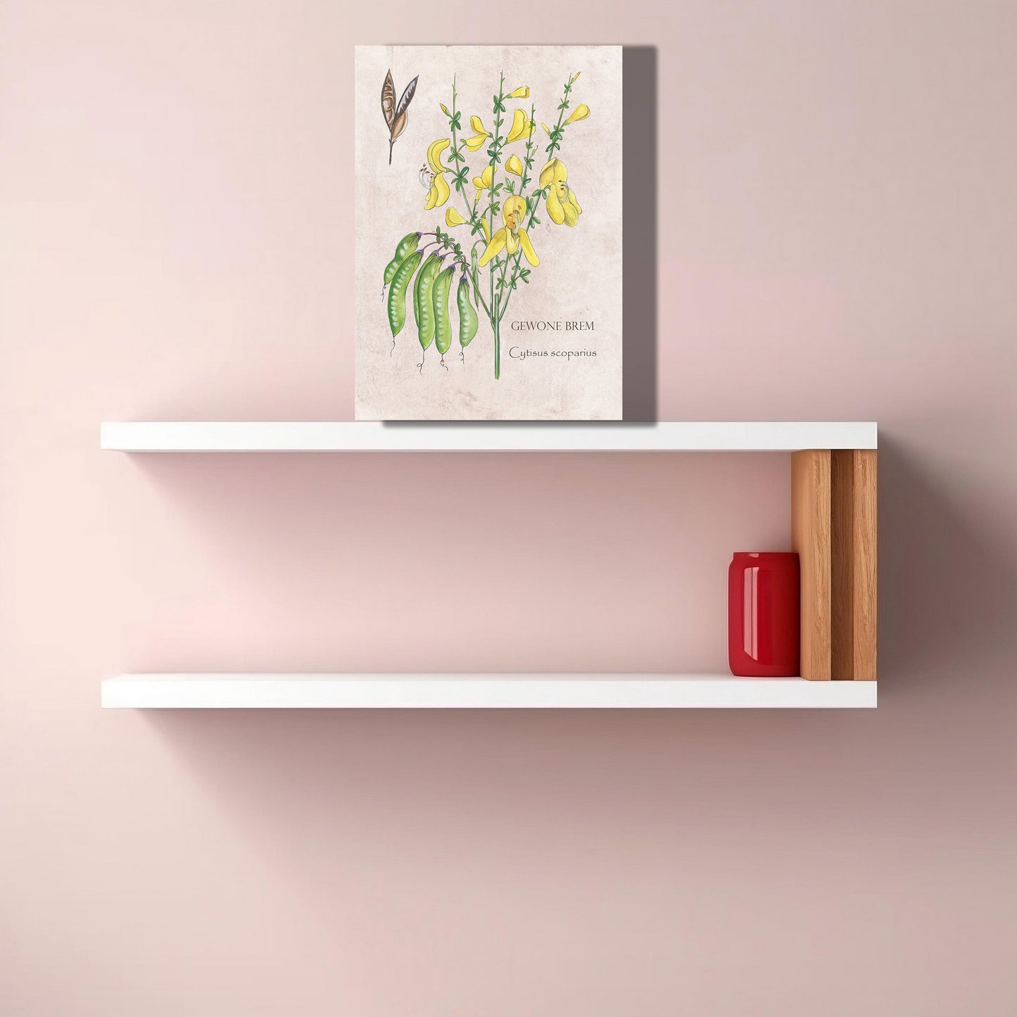 Wanddecoratie "Gewone brem"