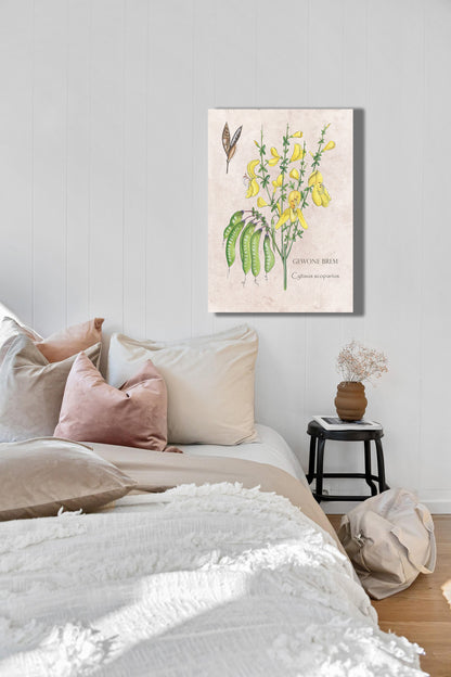 Wanddecoratie "Gewone brem"