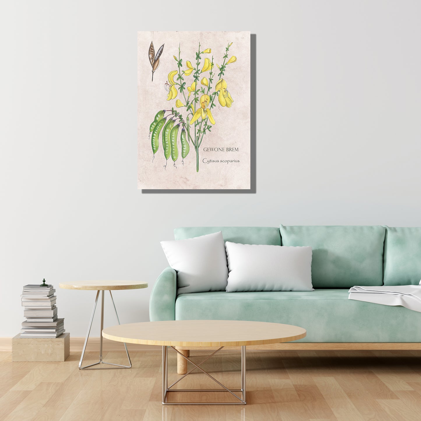 Wanddecoratie "Gewone brem"
