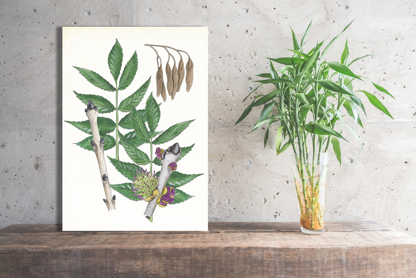 Wanddecoratie "Gewone es, het leven van"