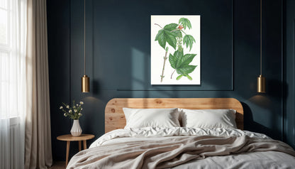 Wanddecoratie "Gewone esdoorn, het leven van"