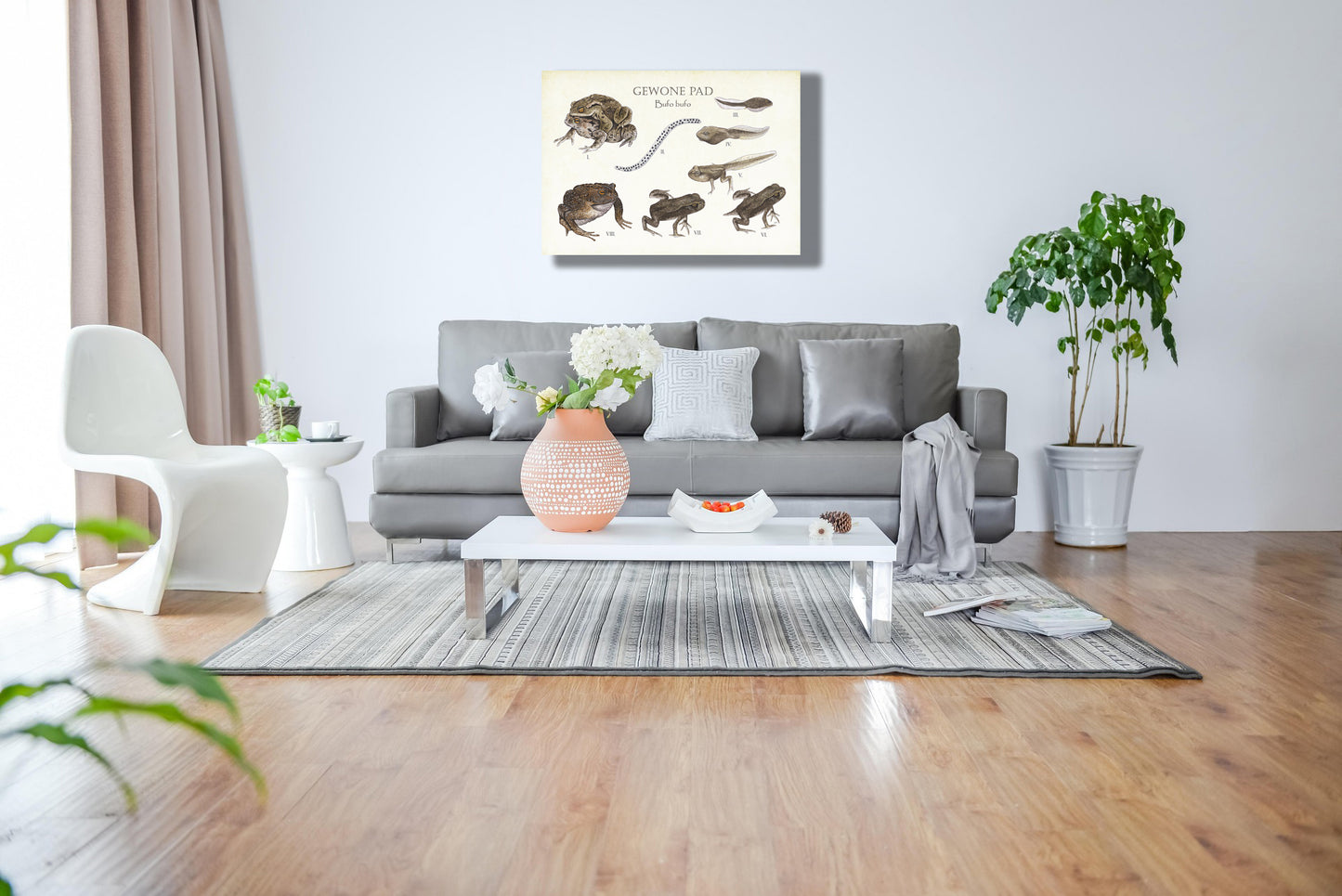 Wanddecoratie "Gewone pad | Levenscyclus van ei tot pad"