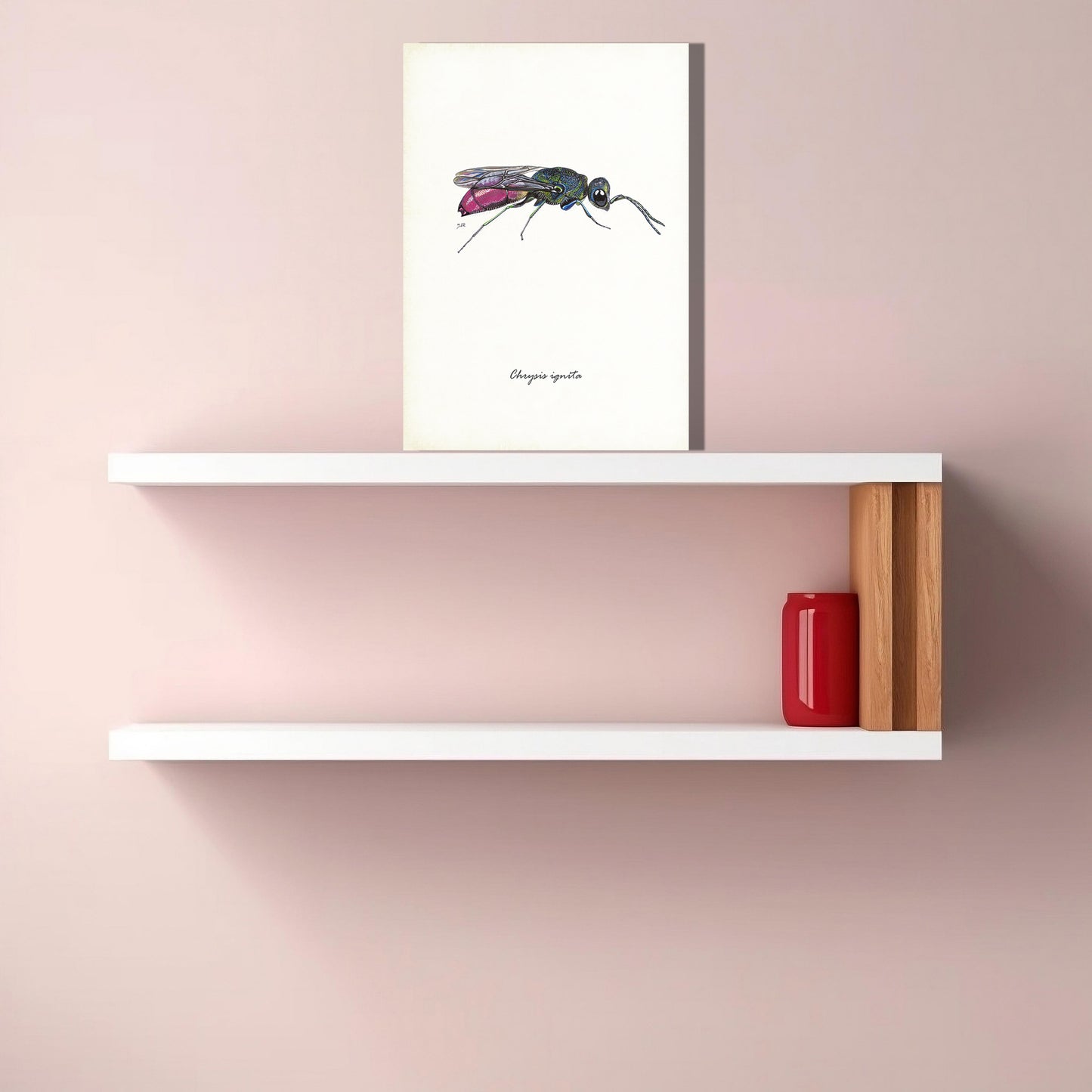 Wanddecoratie "Gewone goudwesp"