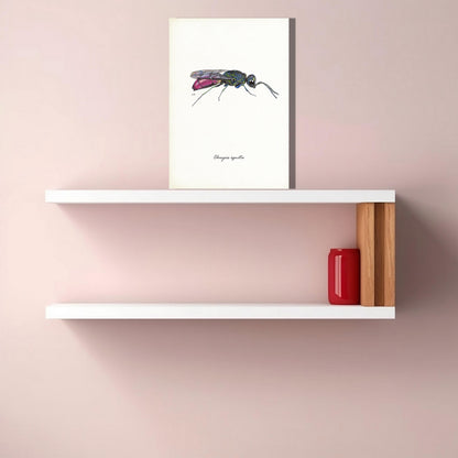 Wanddecoratie "Gewone goudwesp"