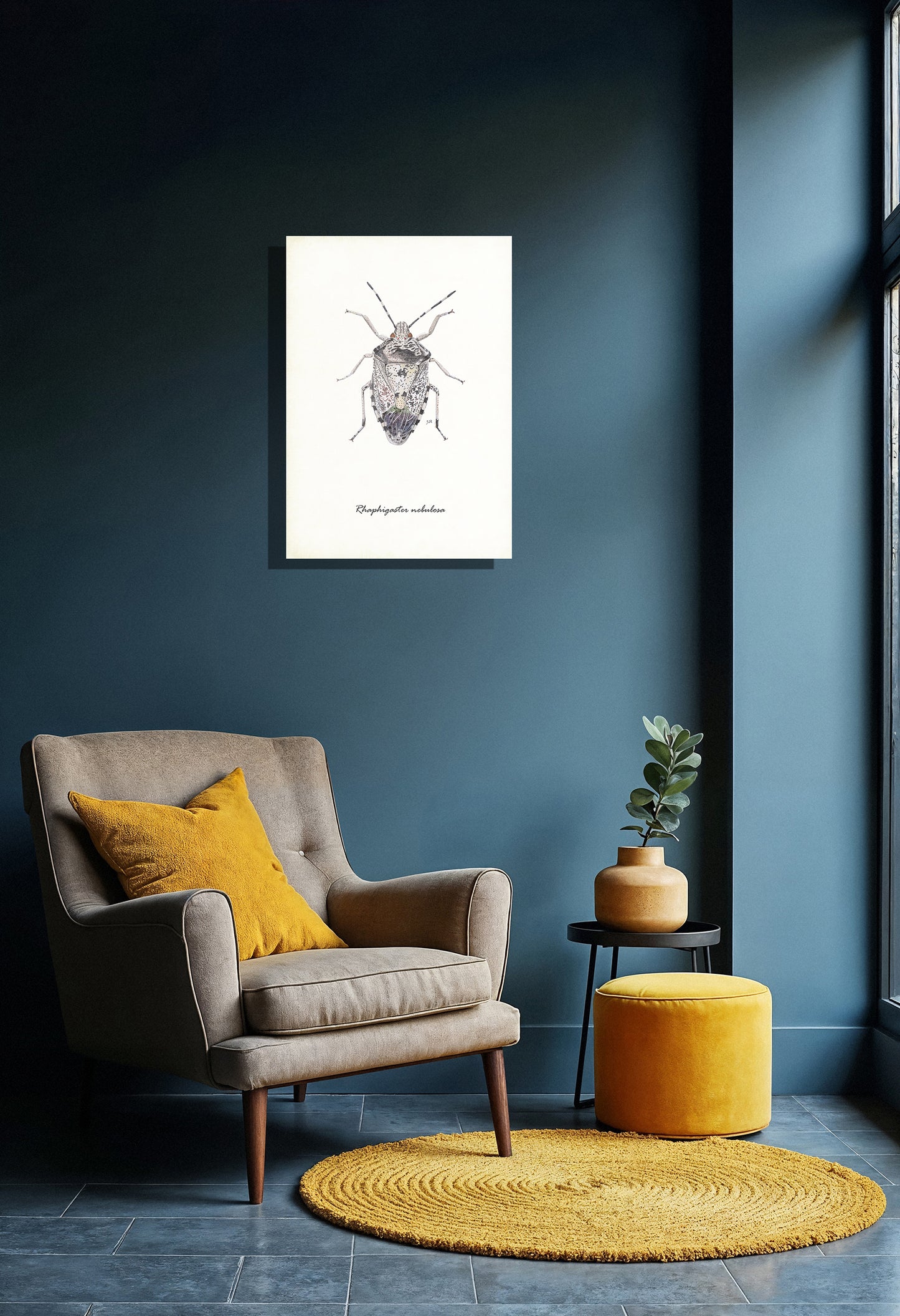 Wanddecoratie "Grauwe schildwants"