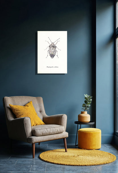 Wanddecoratie "Grauwe schildwants"