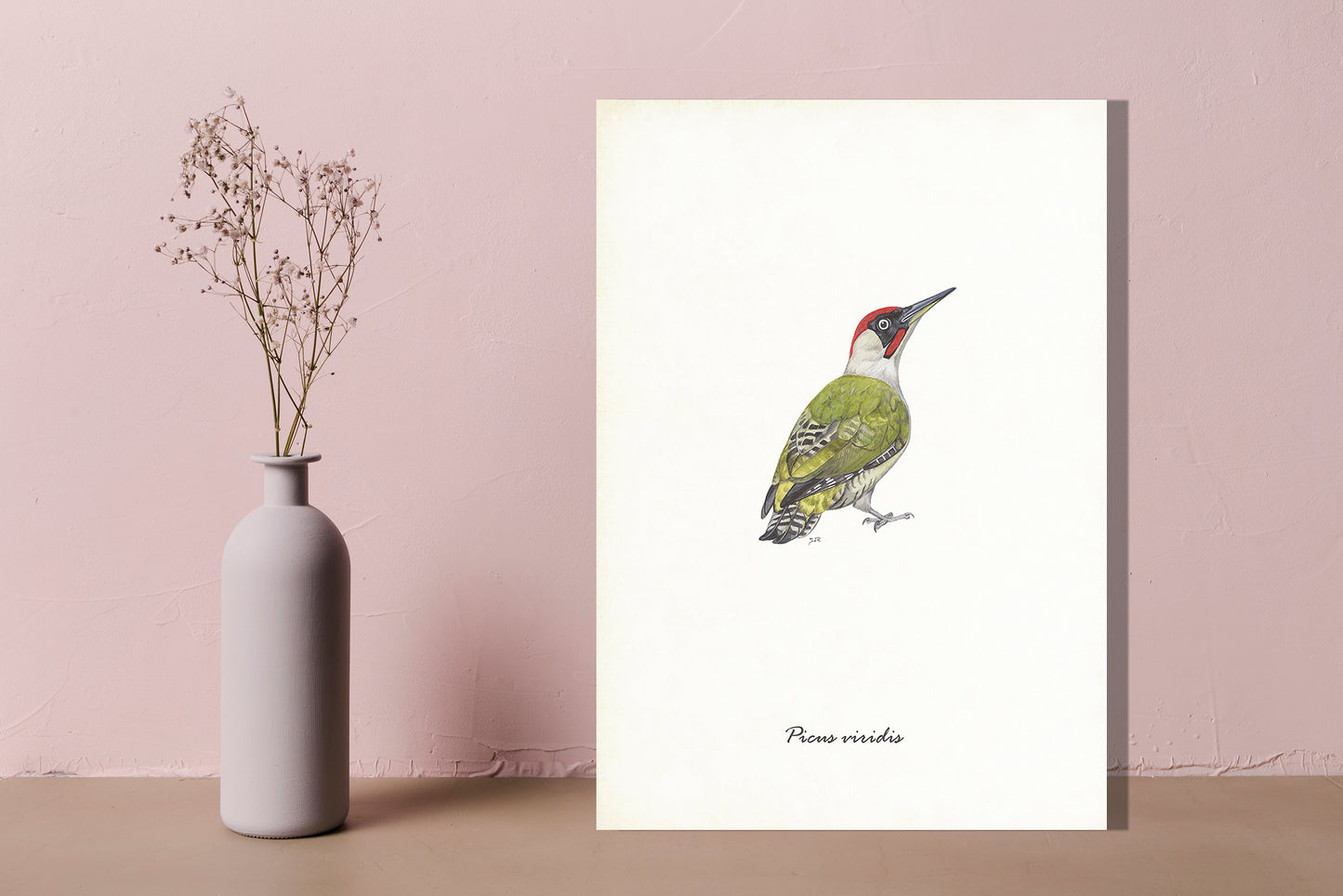 Wanddecoratie "Groene specht"